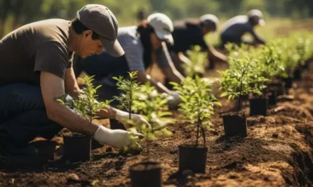 Gaya Hidup Sustainable Untuk Generasi Milenial