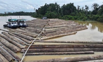 Perkembangan Terkini Yang Ramai Dibicarakan Publik